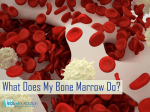 What Does My Bone Marrow Do? - MDS UK