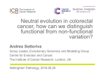 Neutral evolution in colorectal cancer, how can we distinguish