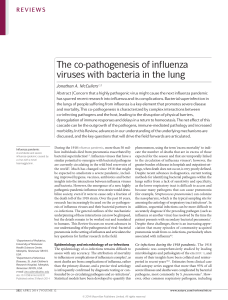 The co-pathogenesis of influenza viruses with bacteria in the lung