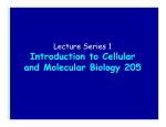 Introduction to Cellular and Molecular Biology 205