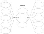 Bacteria Virus - Mrs. Meadows Science