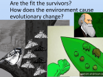 Are the fit the survivors? How does the environment cause