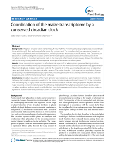 Coordination of the maize transcriptome by a conserved circadian