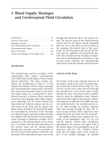 4 Blood Supply, Meninges and Cerebrospinal Fluid