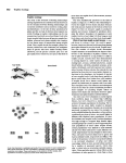 Page 1 662 Trophic ecology The study of the structure of feeding