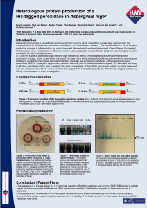 Heterologous protein production of a His-tagged peroxidase