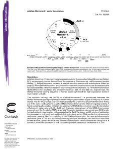 pDsRed-Monomer-C1 Vector Information