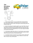 The Excretory System - Avery County Schools