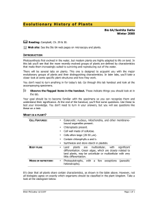 03 Plant Evolution 08 W