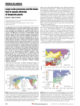 Large-scale processes and the Asian bias in species