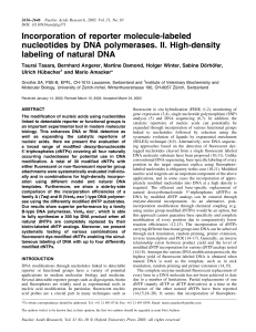 Incorporation of reporter molecule