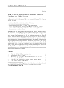 Na,K-ATPase in the Myocardium: Molecular Principles, Functional