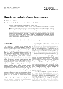 Dynamics and mechanics of motor