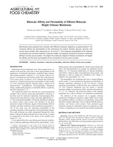 Molecular Affinity and Permeability of Different Molecular Weight
