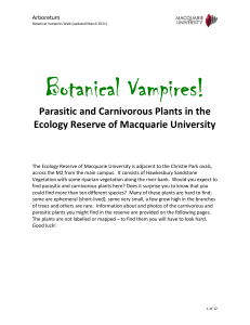 Botanical Vampires! - Macquarie University