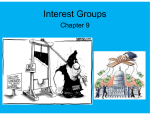 Interest Groups