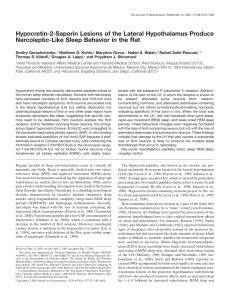 Hypocretin-2-Saporin Lesions of the Lateral Hypothalamus Produce