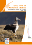 Taking action for The Amsterdam albatross