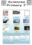 Primary 7 Science Parent Guide - Wester Cleddens Primary School