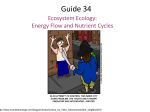 Guide 34