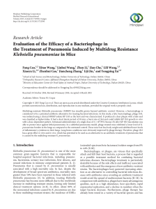 Evaluation of the Efficacy of a Bacteriophage in the Treatment of
