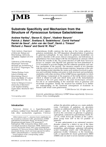 Substrate Specificity and Mechanism from the Structure of