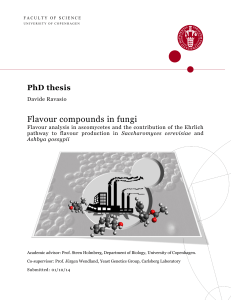 Flavour compounds in fungi