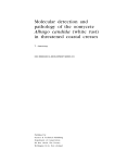 Molecular detection and pathology of the oomycete Albugo candida