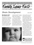 Brain Development - CCE Delaware County