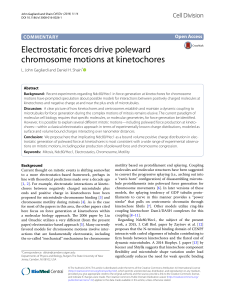 Electrostatic forces drive poleward chromosome