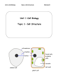 Lesson 1.1.1 Cells