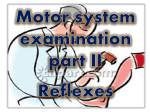 Motor system examination part II