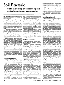 Soil Bacteria: useful in studying processes of organic matter