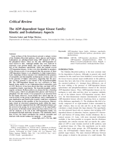 The ADP-dependent sugar kinase family