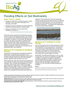 Flooding Effects on Soil Biodiversity