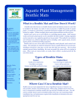 Aquatic Plant Management: Benthic Mats