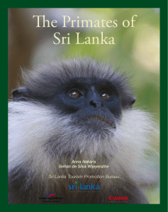 The Primates of Sri Lanka