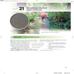 21 Miscellaneous Bacterial Agents of Disease