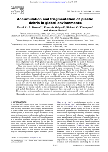 Accumulation and fragmentation of plastic debris in global