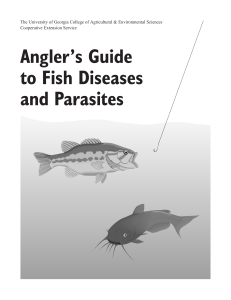 Angler`s Guide to Fish Diseases and Parasites