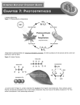 Subatomic Particles