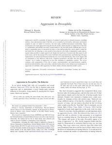 Aggression in Drosophila - American Psychological Association