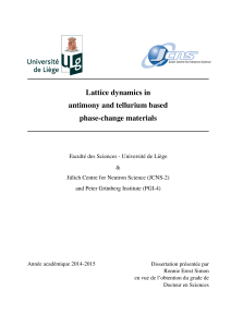 Lattice dynamics in antimony and tellurium based phase