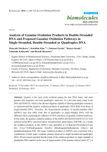 Analysis of Guanine Oxidation Products in Double