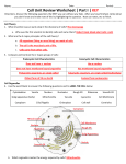 Cell Unit Review Worksheet | Part I | KEY