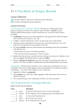 HOMEWORK PACKET: (11.1) The Work of Gregor Mendel