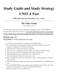 Study Guide and Study Strategy UNIT 4 Test Cells