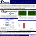 A rapid image cytometric analysis method for phagocytosis using