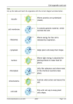 Cell organelle card sort vacuole Where proteins are synthesised
