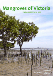 Mangroves of Victoria Information Kit